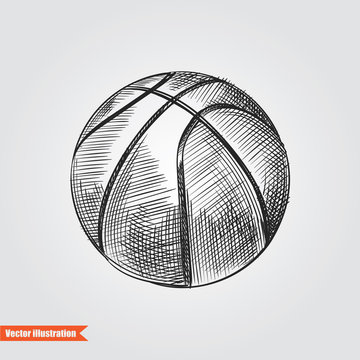 Ball for basketball  hand drawn sketch  isolated on white background. Sport item elemenets vector illustration
