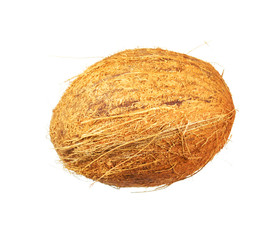 Fresh coconut isolated on white background