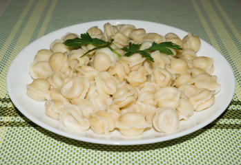 Small meat dumplings on a plate on a green napkin closeup