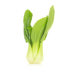 Bok choy vegetable isolated on the white background