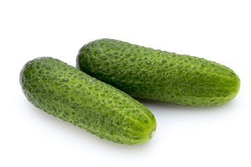 The first spring ecologically cucumbers.
