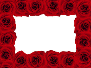 ramka, róża,  © photoidea