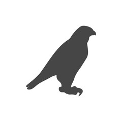 Falcon bird icon