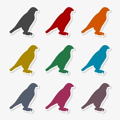 Falcon bird icon
