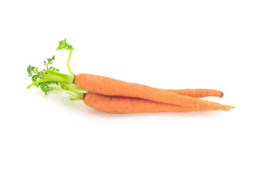 baby carrots isolated on a white background