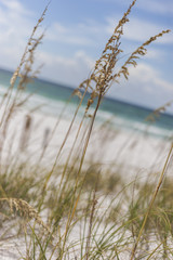 Fototapeta premium Destin