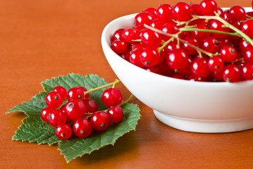 Red currant in ceramic bowl