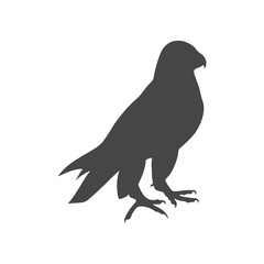 Fototapeta premium Falcon icon - Illustration
