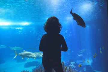 little girl watching fishes in a Oceanarium. Lisbon in Portugal