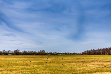 Mecklenburg-Vorpommern