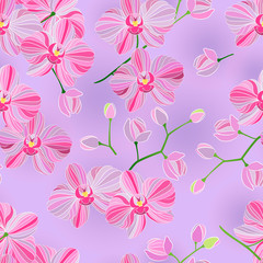 Vector seamless pattern. Branch of beautiful pink Phalaenopsis orchids for decoration backgrounds.