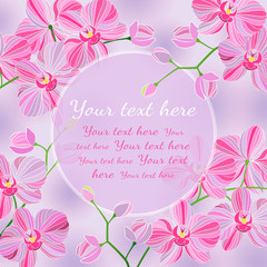 Vector illustration. Branch of beautiful pink Phalaenopsis orchids with a square frame for your text.