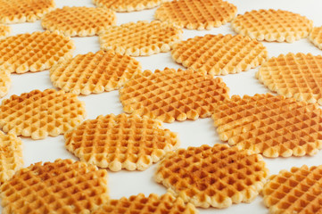 Many round wafers on the white background