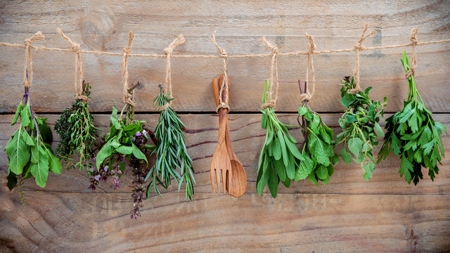 Get the Taste of Italy with These Popular Herbs to Grow