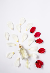 Floral pattern with several colorful flowers And perfume bottle