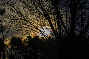 Silhouette at sunrise