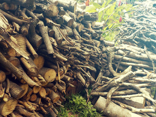 Texture of natural stacked logs - 139369943