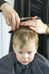 Fototapeta premium Male child at the barber shop to cut the hair. cute young boy getting a haircut.