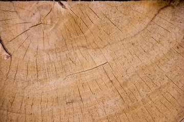 Fototapeta premium cięcia drewna