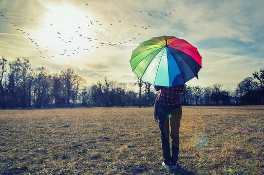 woman holding rainbow umbrella and watching sunset in the nature, birds flying above 