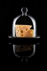 Swiss cheese in a vintage platter with glass cover on a black background. Luxury cheese platter with mirror reflection.