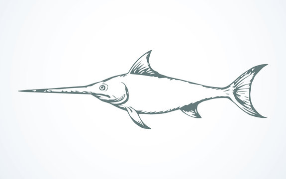 recommend clip art: Swordfish. Vector drawing