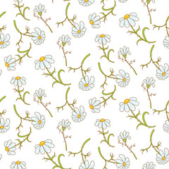 Daisy light blue seamless vector pattern. Floral repeating background on white.