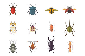 Set of insects flat style vector design icons. Collection nature beetle and zoology cartoon illustration. Bug icon wildlife concept