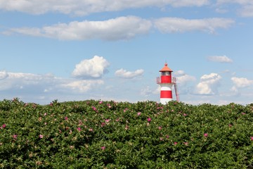Fototapeta na wymiar The lighthouse of Oddesund in Denmark 