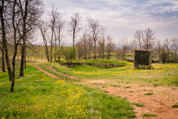Fototapety na wymiar - Fototapeta24.pl