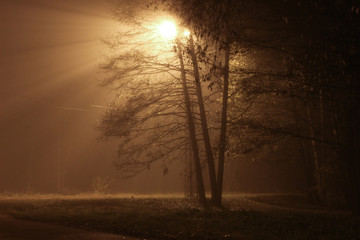 Night lantern light on the street. Beautiful light rays