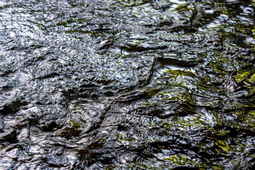 Photo and texture of dark water flow
