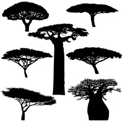 Black silhouette various of African trees on a white background - vector - obrazy, fototapety, plakaty