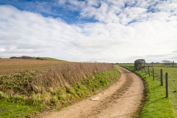 Fototapeta na wymiar Pathway through Countryside