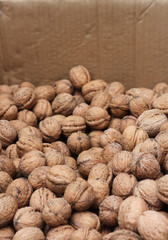 Walnuts in the box