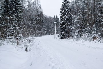 rural road in snowy winter forest