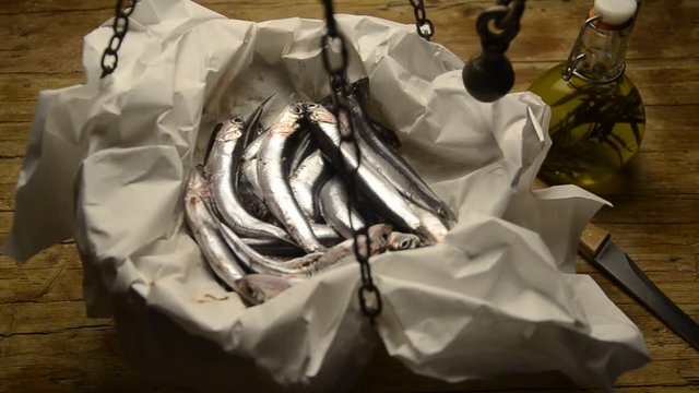 Engraulis encrasicolus Europ&auml;ische Sardelle Anchovy Acciuga Ryba Boquer&oacute;n Alice Alici Bocarte Pesce Pescado Fish Aladroque Fisch Anchois Anchoa Poisson Sardela Chamsa C&aacute; cơm ch&acirc;u &Acirc;u עפיאן אירופי