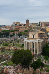Fototapeta na wymiar vue du Mont Palatin. Panorama du forum romain, Rome, Italie