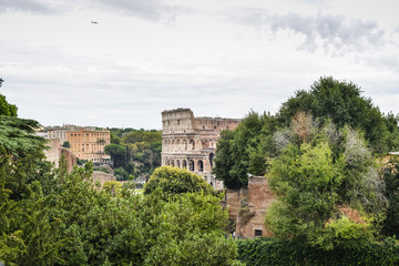 Fototapeta na wymiar colisée vu mont haut du mont Palatin, forum romain, Rome, Italie