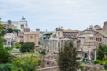 Fototapeta na wymiar panorama du forum romain, Rome, Italie