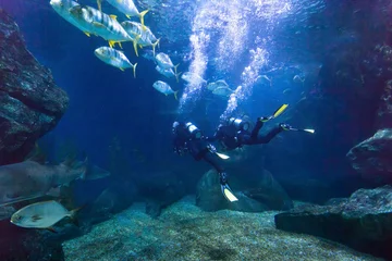 Foto auf Acrylglas Tauchen Taucher erkunden Fische unter Wasser im Meer, schöner Tauchhintergrund