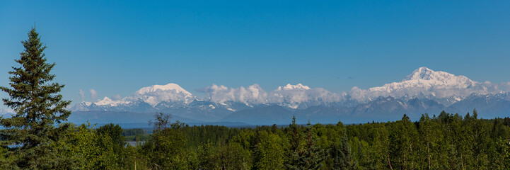 Panorama of Denali Mountain Range in Alaska