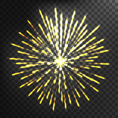 Firework different shapes colorful festive vector.