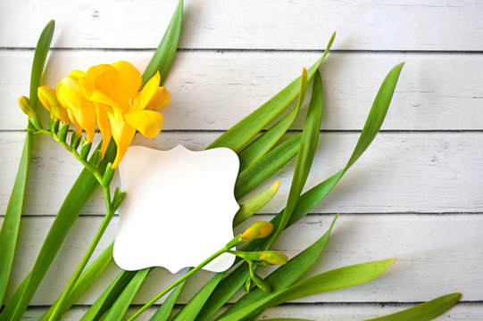 spring grass and yellow flowers with buds with card on wood background