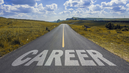 road to career