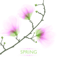 vector background with spring flowers