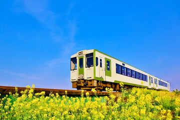 菜の花と列車（陸羽西線）