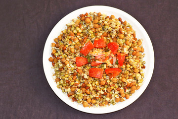 Germinated healthy seeds on the black background in white plate.