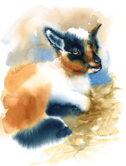 Watercolor Baby Goat Laying Down Hand Painted Farm Animals Illustration