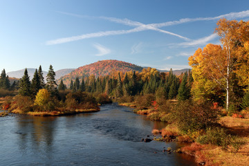 Fototapeta na wymiar Autumn in Canada. Autumn. Blue sky, white clouds. Autumn forest and mountain river. Autumn hills. Colourful autumn morning in mountain.